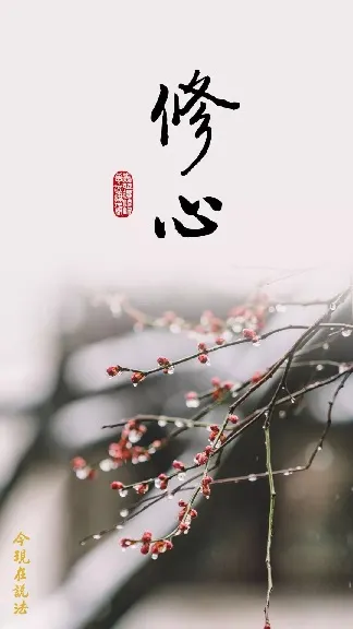 大乘法根本是修心,心正了,行沒有不正的。