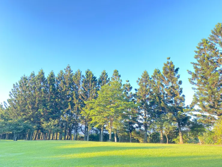 飯店對面的景色