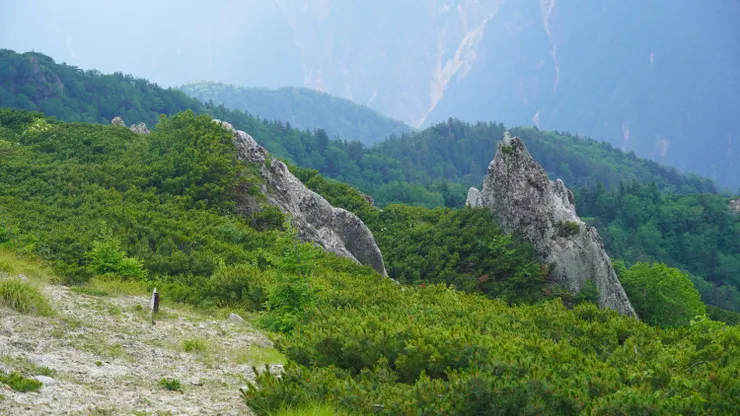 每顆怪石都讓人有想像空間
