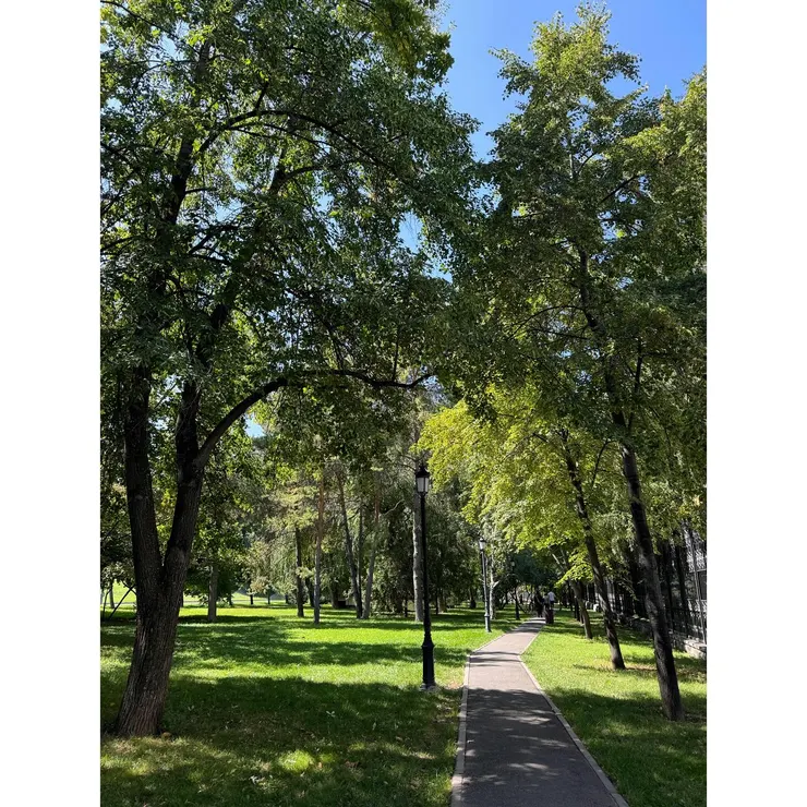 公園也沒什麼人