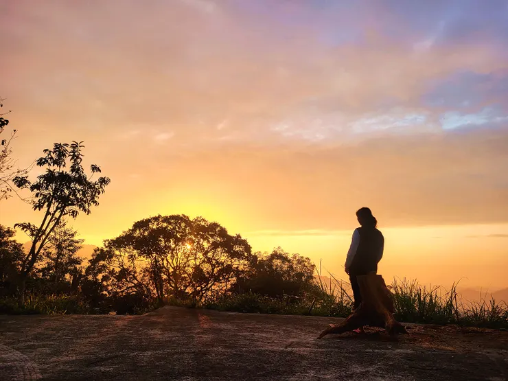 人生要陪養感知幸福的能力 感知夏夜的風 冬日的雪 感受潮汐和日落 感受每一個溫暖美好的瞬問