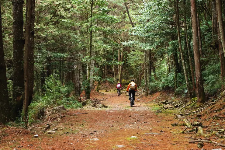 ▲回程是一路緩上坡，考驗肌耐力。