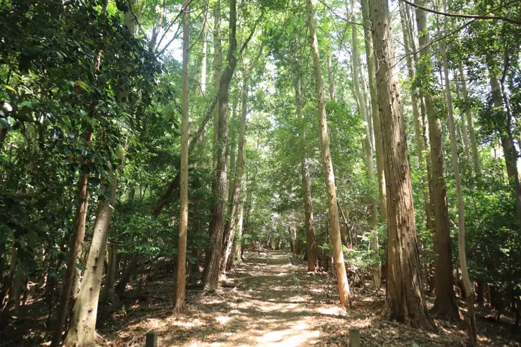 順著路向前走，我們持續上下樓梯又拐彎