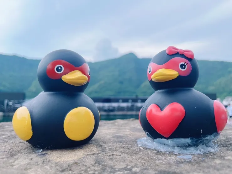 花蓮紅面鴨「平平、安安」