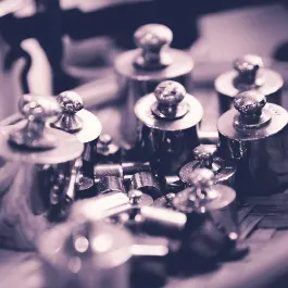 豬鬃的記憶之都的沙龍