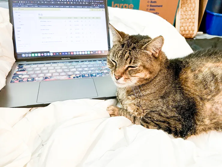 各種妨礙工作的情勒仔