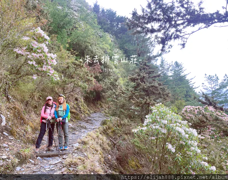 【玉山主峰西峰.兩天兩夜】南投縣信義鄉的望鄉部落艾度民宿/塔