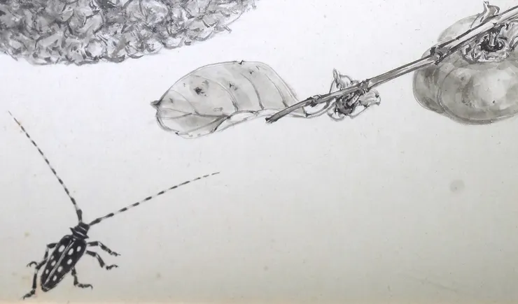 〈佳果野趣〉局部－天牛