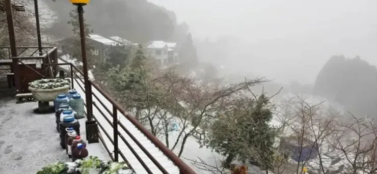 拉拉山下雪 / 取自：恩愛農場臉書