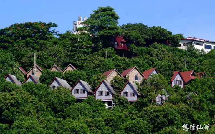 仙湖農場