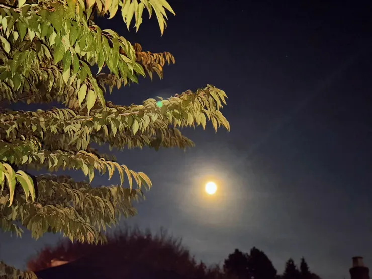 溫哥華中秋節的月娘