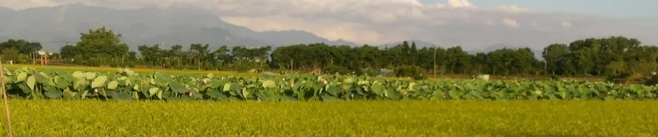 禾氣好財的沙龍