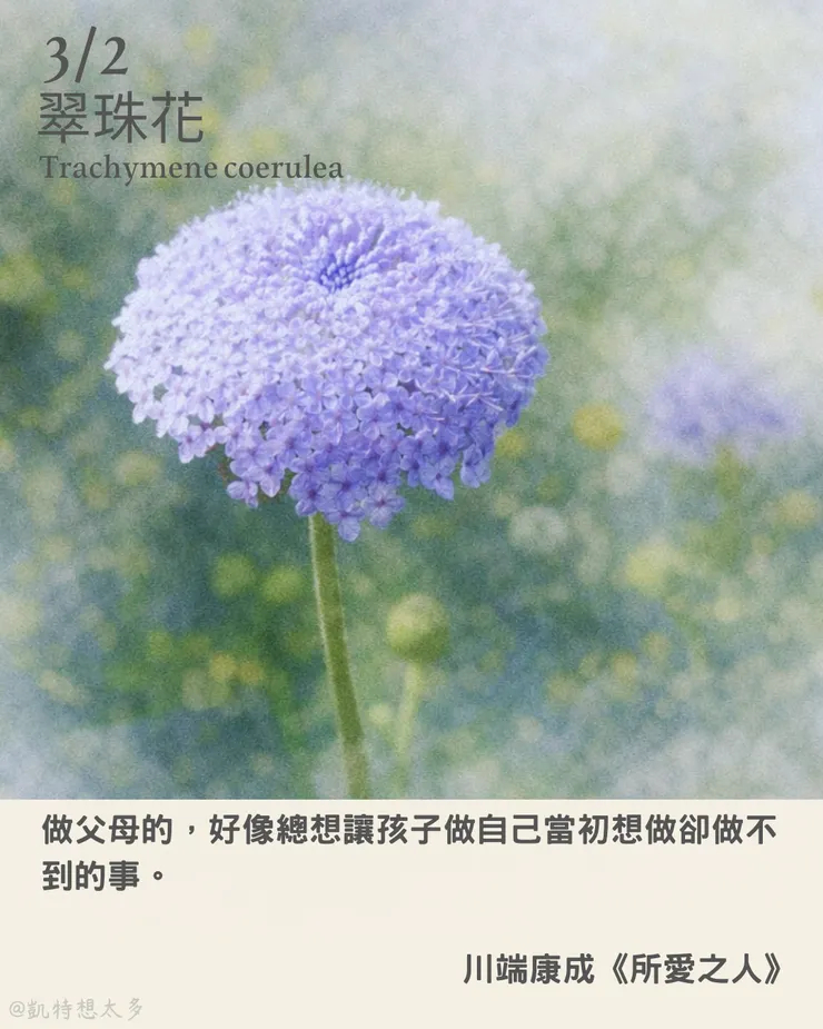 《一日一花・一句》｜3 月 2 日｜翠珠花 ×川端康成《所愛之人》