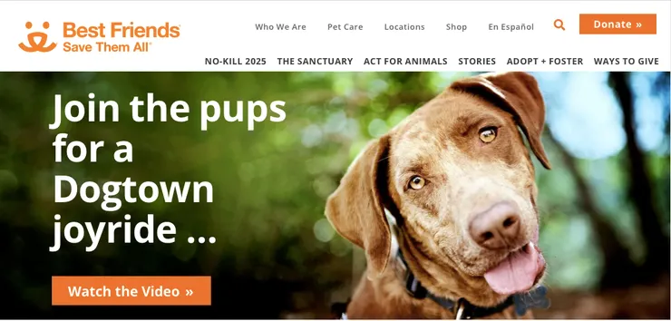 私人動物救援組織網站