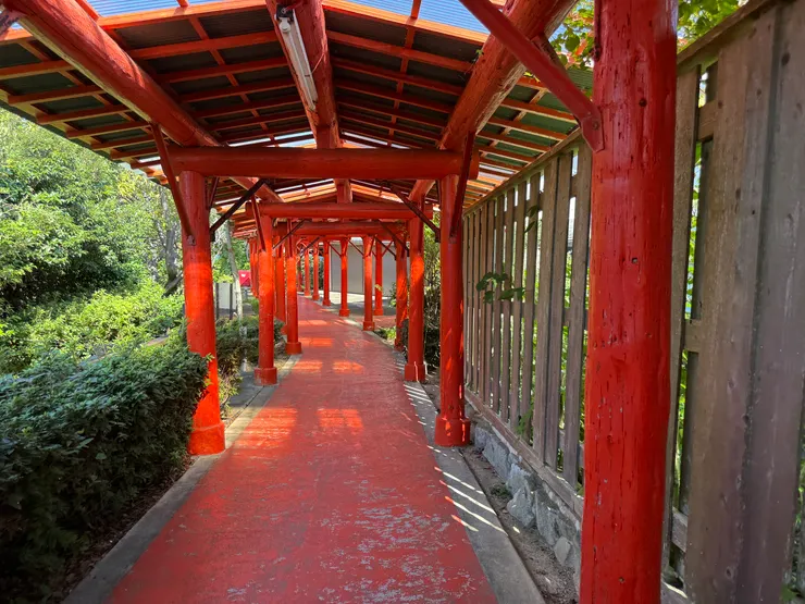 電梯出來走到戶外會有步道