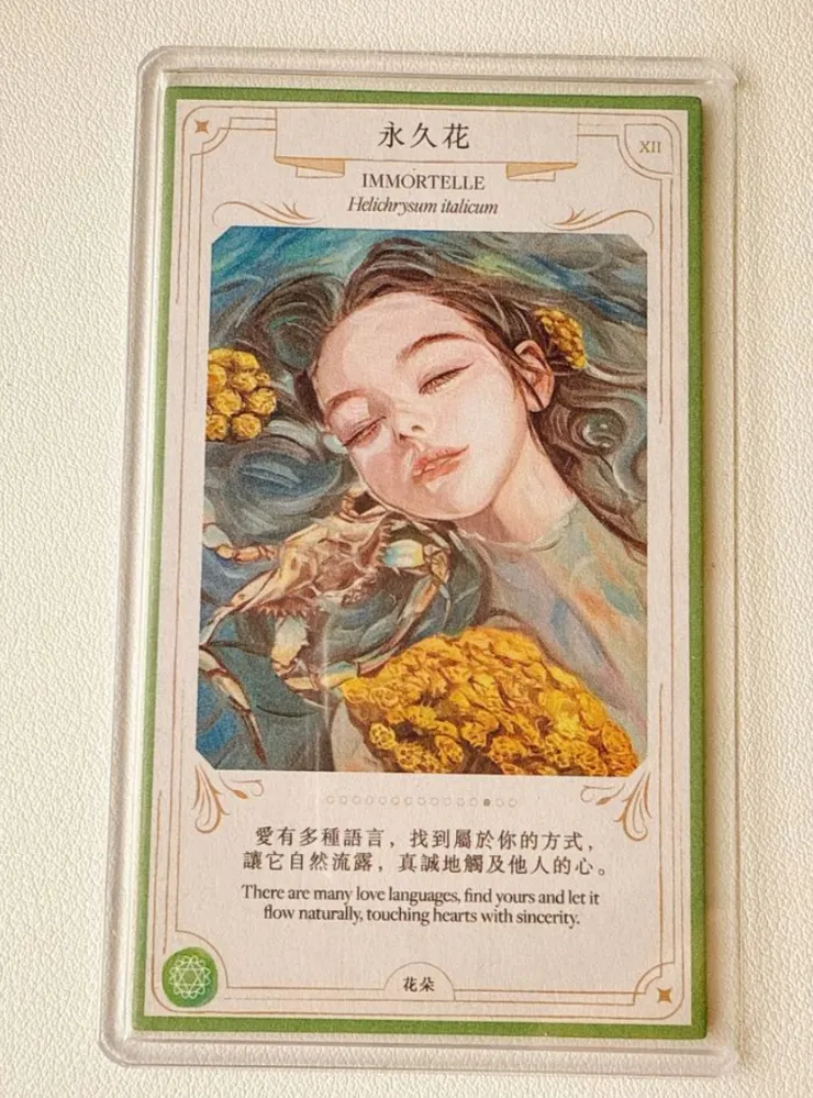 永久花｜心輪