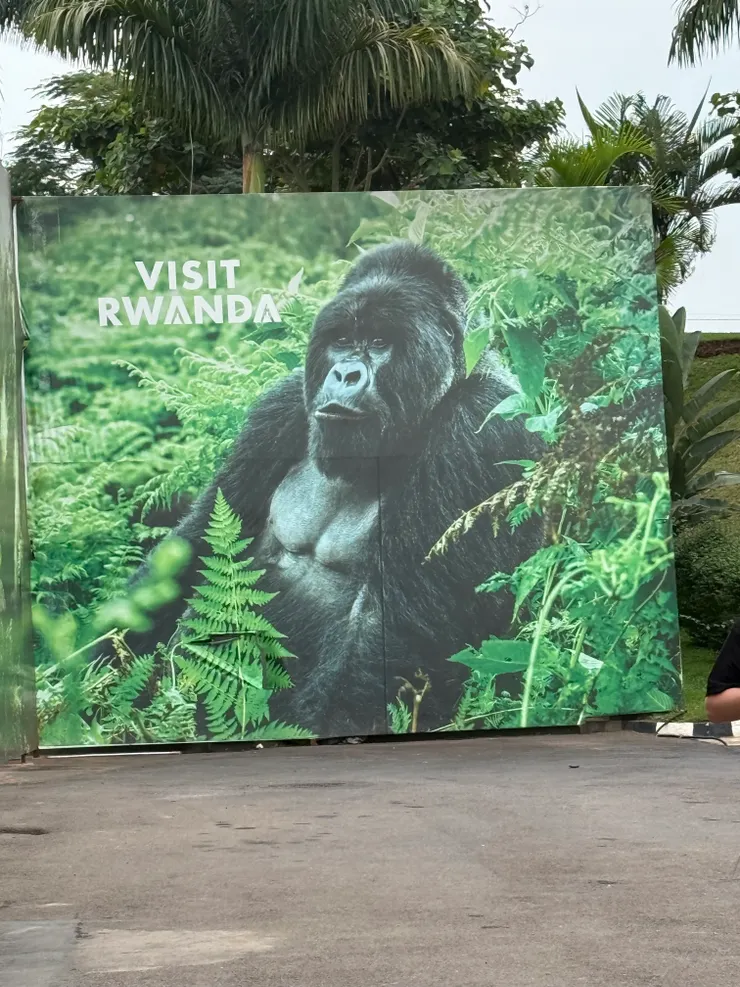 特產大猩猩觀光旅遊的盧安達