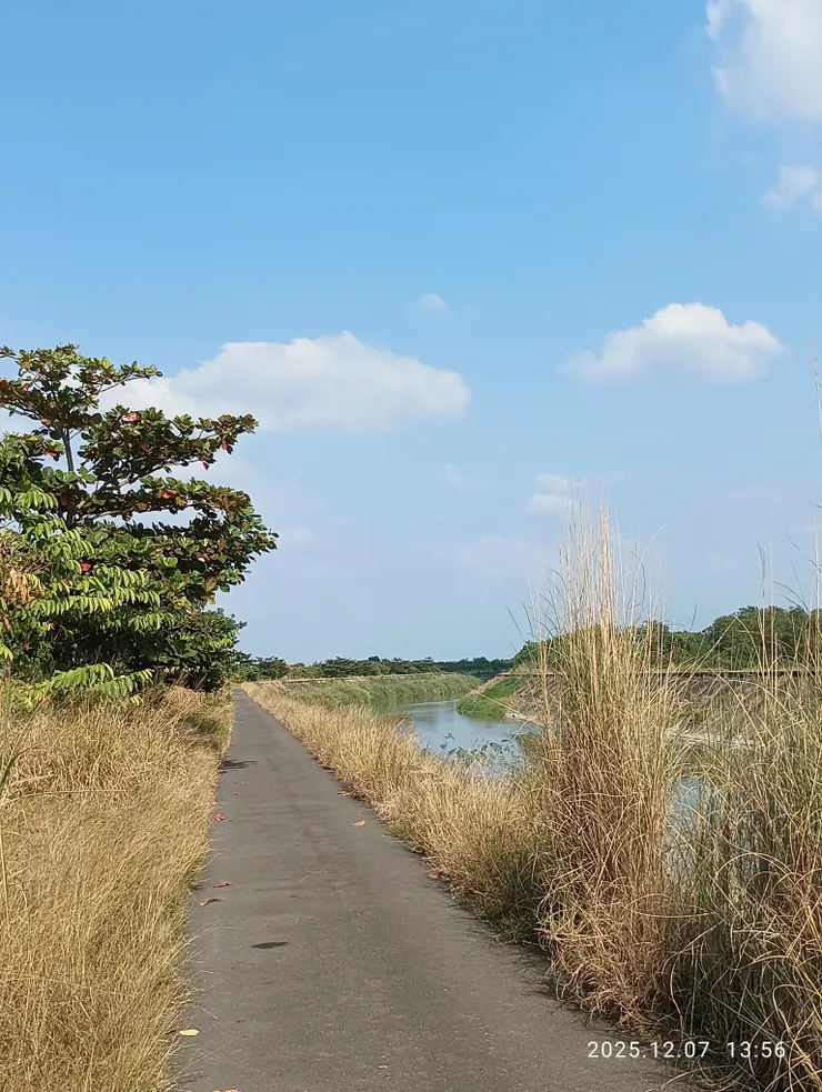 殷勤流水寄離愁