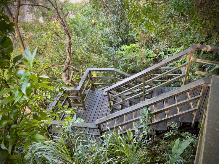 山頂觀景台接階梯，直下下方的仙跡巖廟