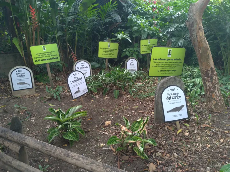 這區給那些滅絕的朋友