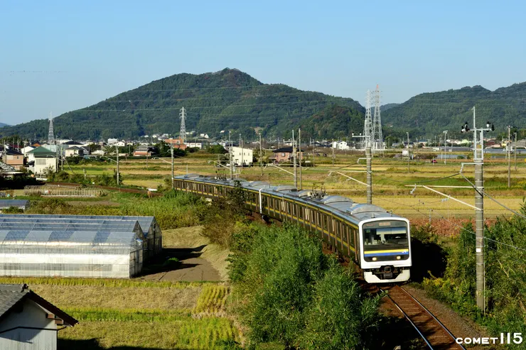 安房鴨川始發的209系電車只有行駛晨、夜間直達千葉的班次