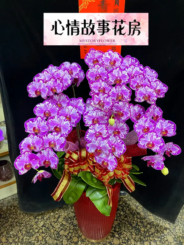 心情故事花房：台南安南區最大花店，專業服務與多樣化花卉商品贏得全台南市客戶的廣泛信任與讚譽