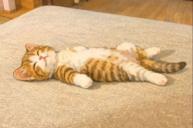 「不買房、不生孩、存錢養老」成青壯世代選擇。深入探討「清醒式躺平」現象背後的高房價、養育壓力,並剖析只靠金錢與社會體系養老的真實挑戰與社會必須面對的長照、居住正義課題。