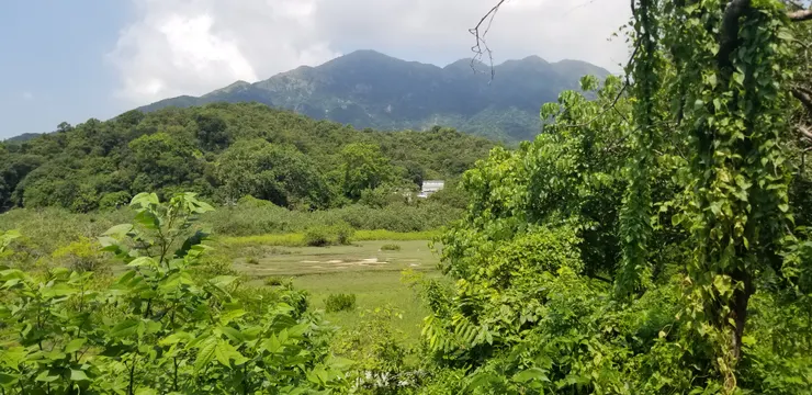 梅窩的基本印象就是充滿自然