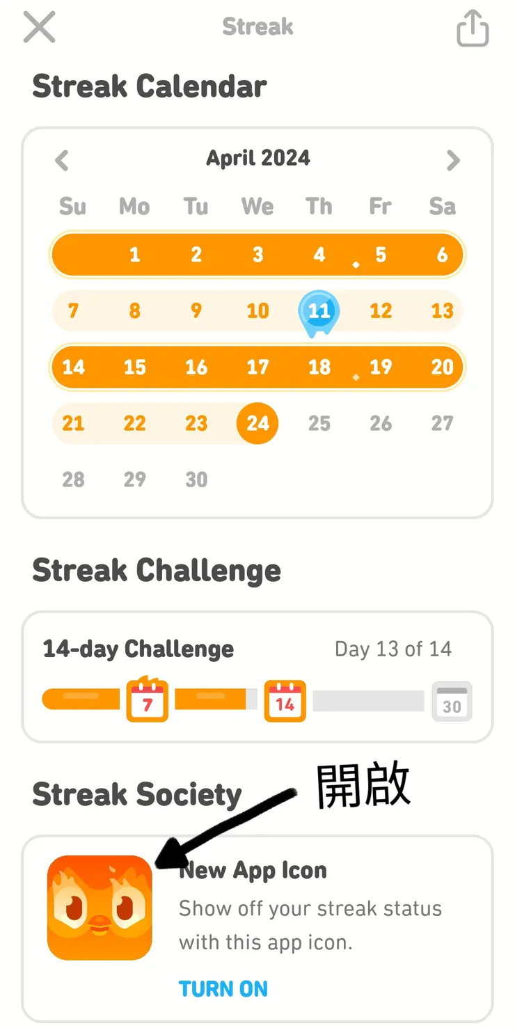 往下滑找橘色鳥