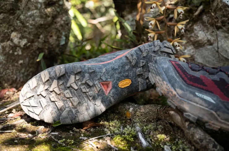 高地抓地力優秀的黃金大底，已是好健行與登山鞋款的標配，我的三雙象象鞋也都是這個底。