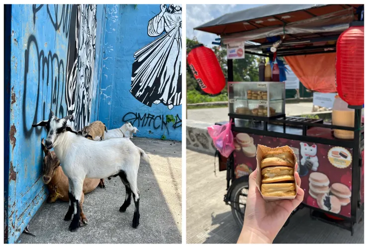 羊群與紅豆餅小點心