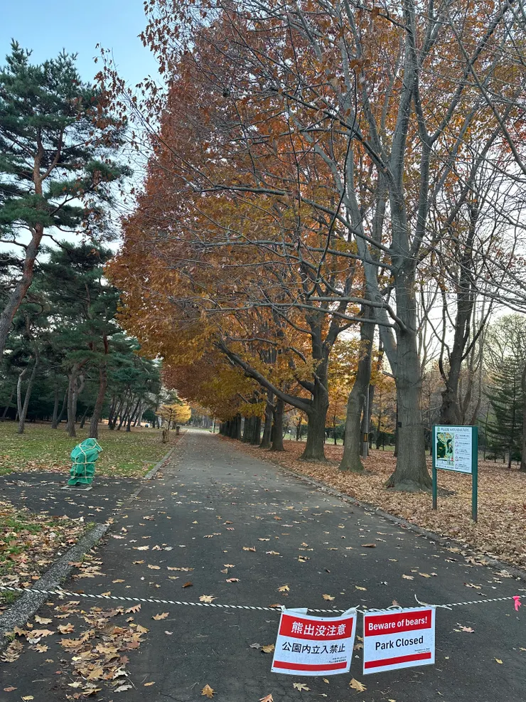 熊出沒 禁止進入的牌子