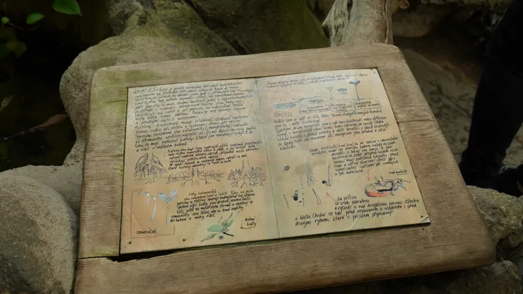 手繪風的導覽牌