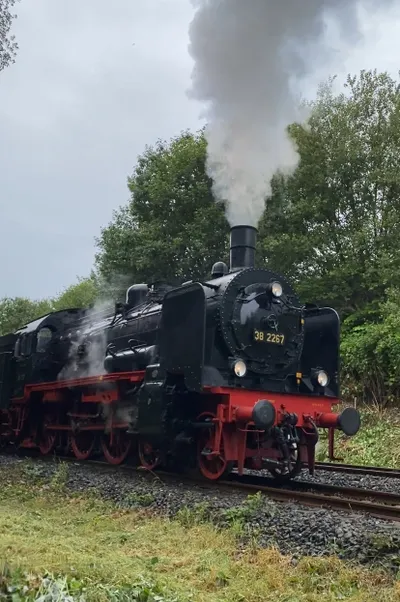 大家喜歡這種蒸汽火車嗎? 我覺得好復古好可愛!