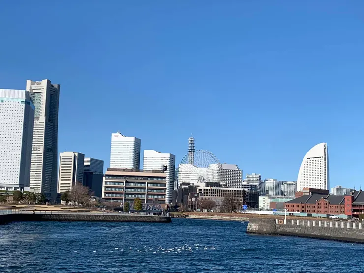 再訪橫濱20240101