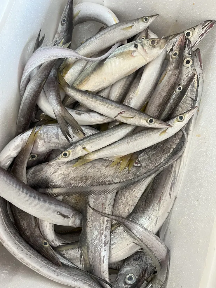 不算多(?的戰利品