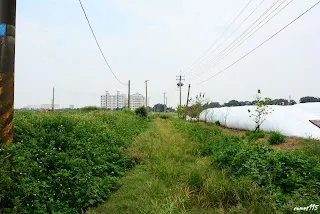 (7887)&nbsp;-往大林方向拍