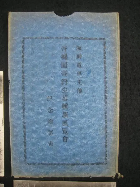戦前　台湾　「阪神電車主催　香櫨園台湾生蕃種族展覧会　紀念絵葉書」　３枚　袋付　明治末期　■検臺灣植民地民族誌タイヤル族アミ族