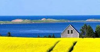 微笑女王的沙龍