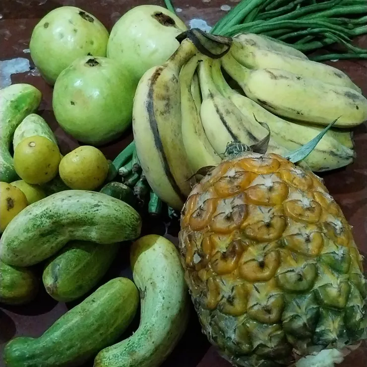 因為家裡沒冰箱，菜都不能多買。買一人份量的菜不容易，還好先禮貌地問買半公斤是否可以用同樣算法，大多數菜販都說可以，幸運地想買的都買到小份，菠蘿還有小的。只花了45盧比（約4.5港元）就搞定了。