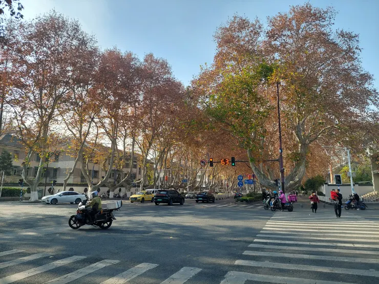 明故宮旁的路(非12月13日當天照片)