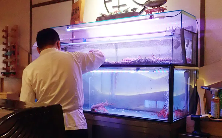 桃園美食推薦│本壽司-高cp值新鮮無菜單料理