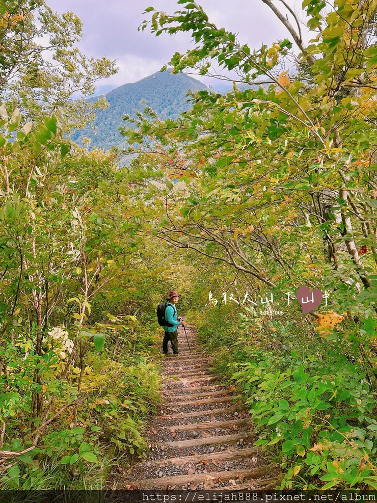 【2025初秋.鳥取県大山町登山趣】夏日登山口/海拔1709