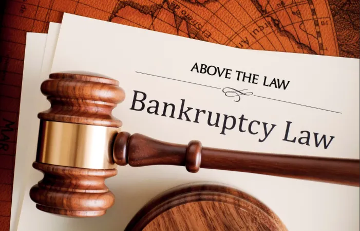 美國破產法最常用的第七章與第十一章