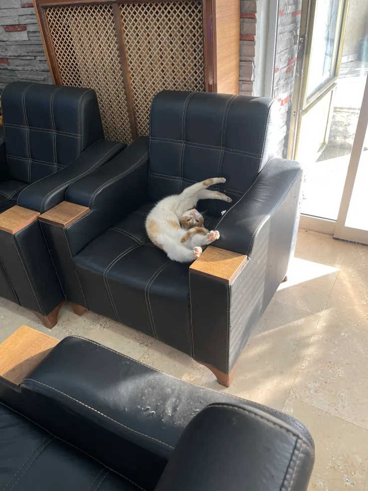 差不多是這種鬆度