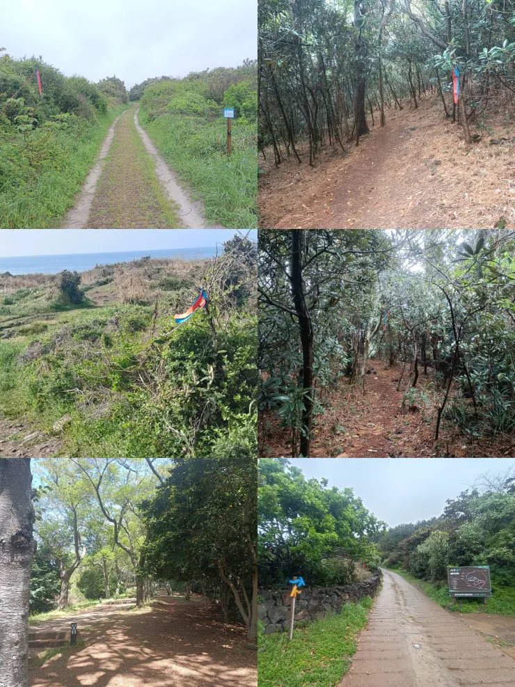 濟州島大小祕境