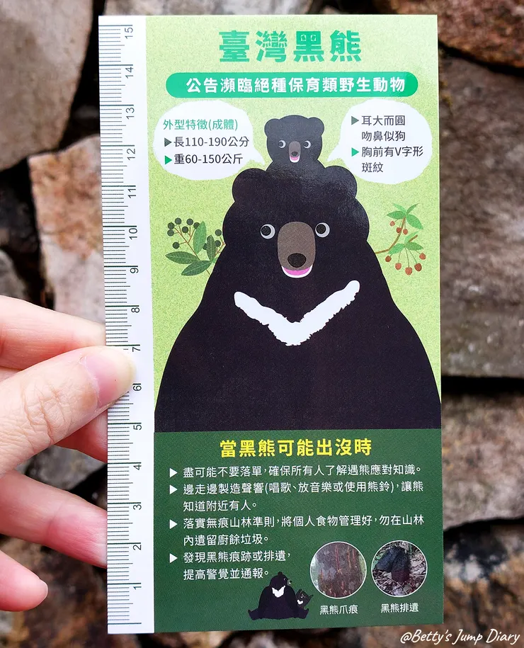 ▲台中「大雪山國家森林遊樂區」/圖片來源：Betty's Jump Diary