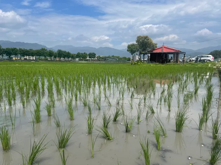 你看，這樣怎麼叫人不擔心呢（嘆）