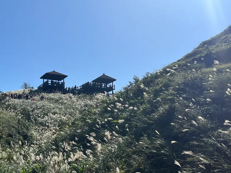 從虎字碑往觀景台拍攝