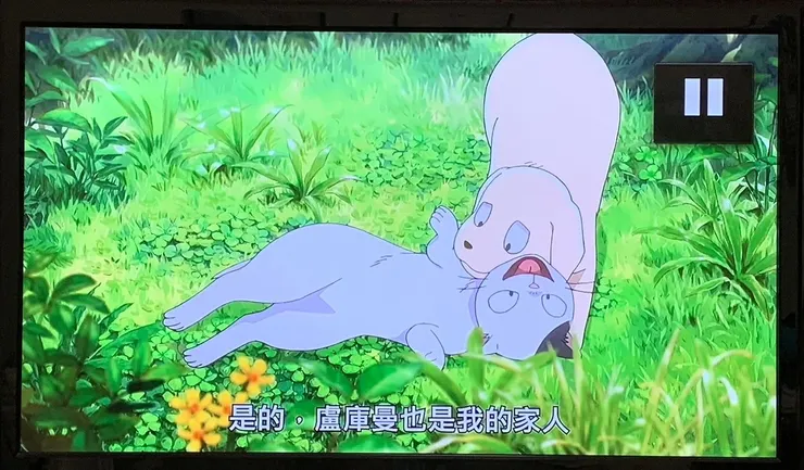 翻攝自中華電信MOD